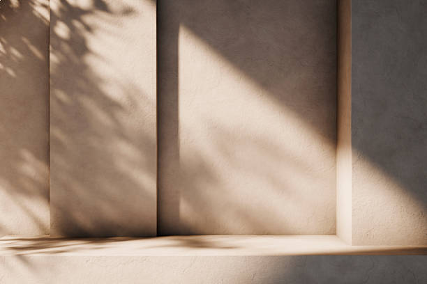istock Luxury architecture interior design aesthetic with tree shadow on beige plaster wall. Minimal background for natural product brand display. 2238284745