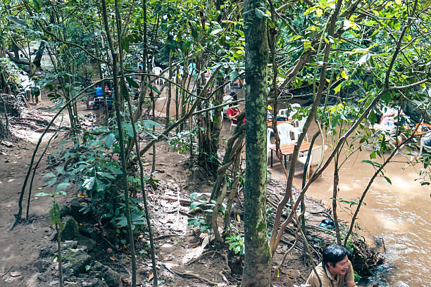 Lush rainforest scene, vibrant greenery surrounding a tranquil river, inviting nature retreat with serene atmosphere.