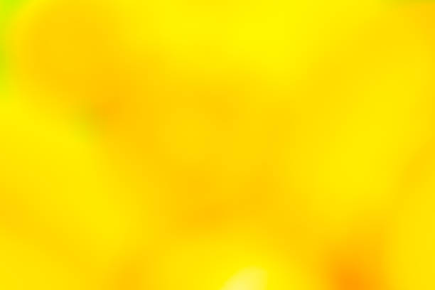 istock Vivid blurred colorful wallpaper background 2238289666