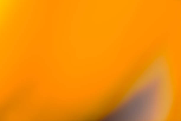 istock Vivid blurred colorful wallpaper background 2238289872