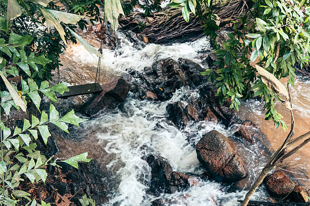 istock Flowing stream amidst lush greenery, clear water cascading over smooth stones, tranquil nature scene perfect for relaxation. 2238290337