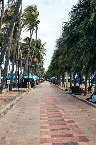 istock Serene waterfront pathway, lined with palm trees, inviting strolls by the sea, vibrant colors, perfect for relaxation or leisure. 2238291934