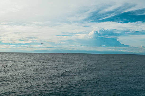 Serene ocean view, expansive blue water under soft clouds, tranquil atmosphere perfect for relaxation or mindfulness.
