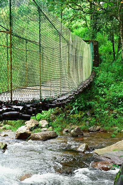 istock A rustic suspension bridge stretches across a lively forest stream, surrounded by lush greenery and serene sounds of flowing water, offering a path into the heart of nature in western ghats of india 2238292531