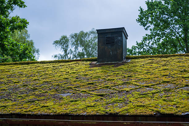 istock Moss covered roof with old chimney vent.. 2238295187