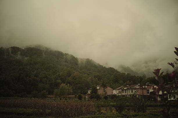 The Muma River in the drizzle.