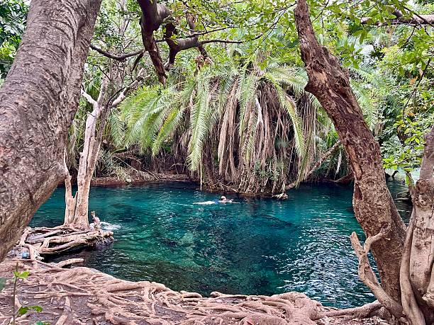 istock Tanzania- Rundugai region - Chemka hot springs ( Kikuletwa hot springs) 2238297607