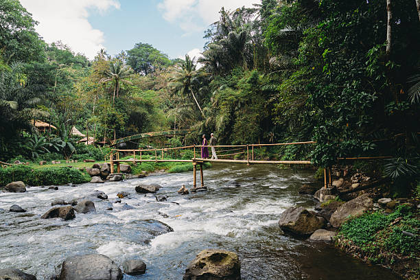 istock Couple walking on bamboo bridge over tropical river 2238299552