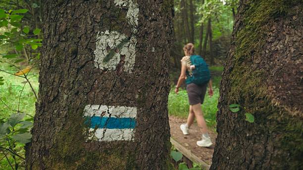 Photos showing markings and signs of mountain hiking trails in Polish mountains.