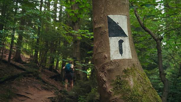 Photos showing markings and signs of mountain hiking trails in Polish mountains.