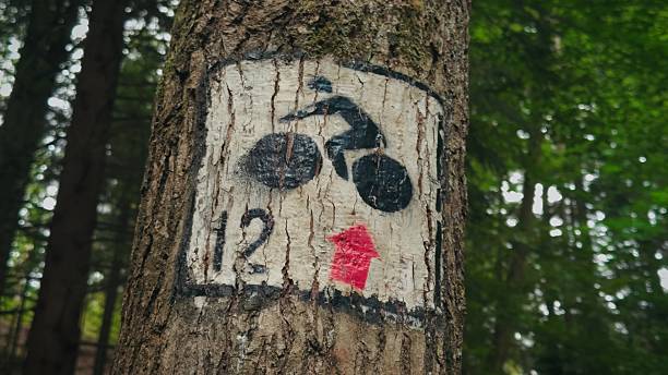 Photos showing markings and signs of mountain hiking trails in Polish mountains.