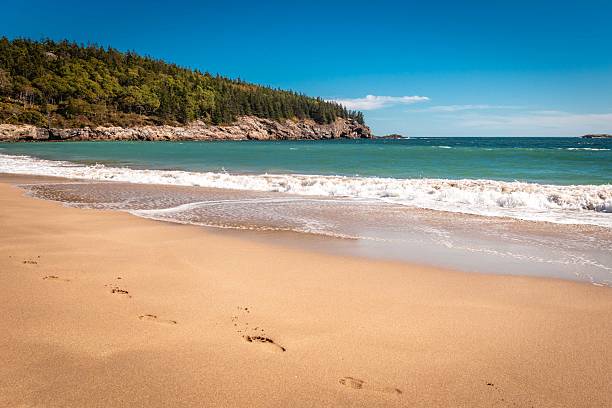 Acadia National Park, Maine