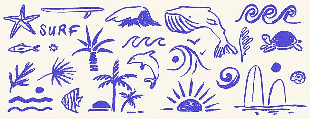 Hand drawn doodle beach and surf vector illustrations set. Tropical coastal season element like palm trees, waves, surfboards, whale, dolphin and sun perfect for exotic holiday or summer design print