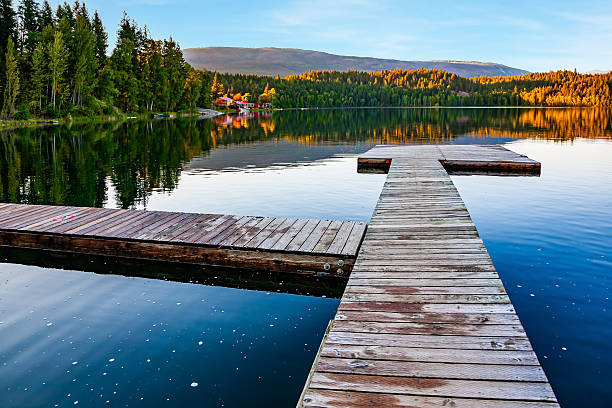 istock Wooden footbridges 2238312015