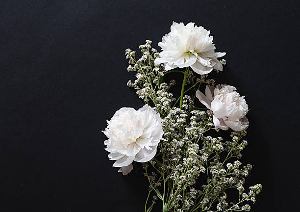 istock Delicate white flowers and buds arranged beautifully on a dark surface 2238316406