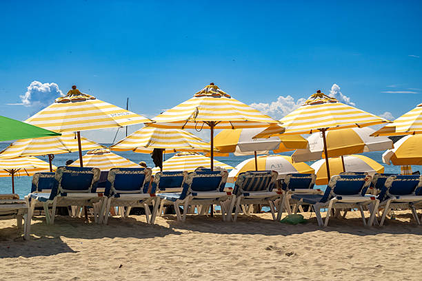 Sunny tropical beach with sun loungers