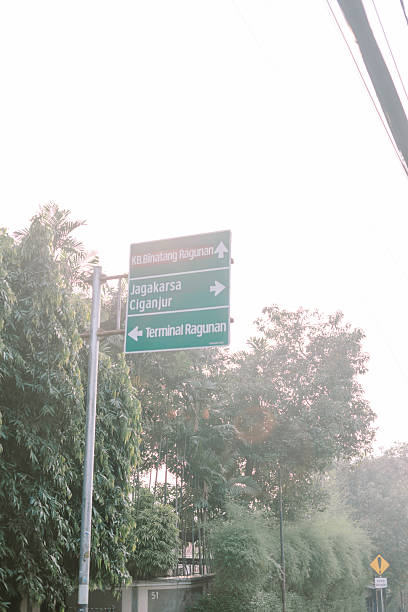 istock Green directional road sign among lush vegetation 2238322997