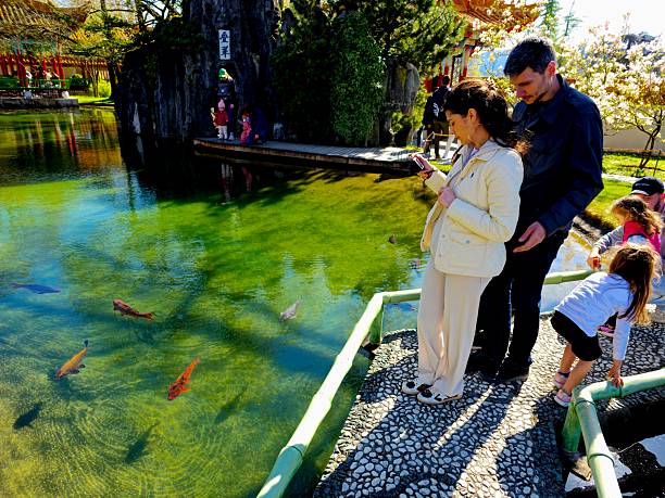 The Chinese Garden is a Chinese garden in the Swiss city of Zürich. It is a gift from Zürich's Chinese partner town Kunming, dedicated to the Three Friends of Winter. The image shoes the garden with a beautiful pond, and a youg couple watsching the fishes, captured during spring season.