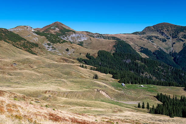 A breathtaking view of rolling mountain hills painted in warm autumn tones, under a clear blue sky. The image evokes feelings of freedom, exploration, and connection with nature — ideal for concepts related to adventure, change of seasons, travel, and natural beauty.