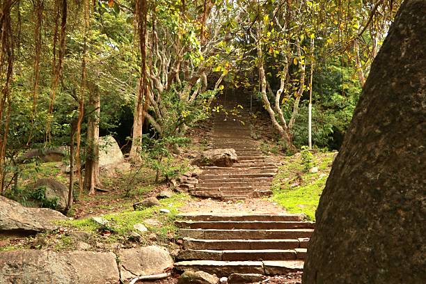 istock old stairs in jungle 2238332393