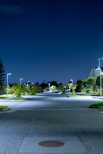 istock Quiet Tree-Lined Street at Night with Warm Streetlights 2238333956