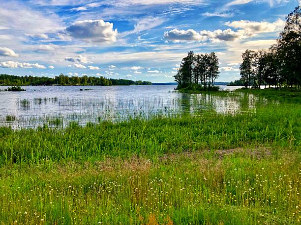 Lake and nature in Soutj Sweden