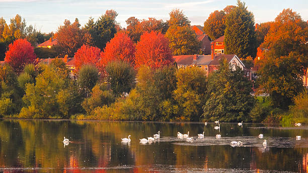 istock Autumn Reflections at Brookvale Park, Erdington 2238344514