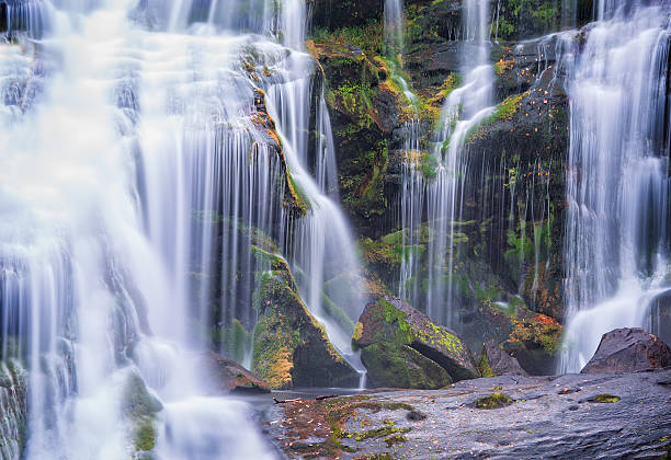 Water flows gracefully over moss-covered rocks Water cascades down rocky cliffs At Bald River Falls in east Tennessee, a serene forest setting during early morning light in a lush forest, creating a peaceful scene filled with natural beauty and tranquility during the morning hours.