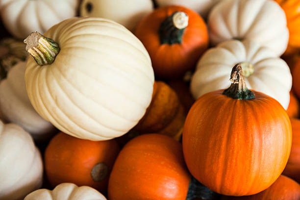 istock Autumn White and Orange Pumpkin Background 2238365016