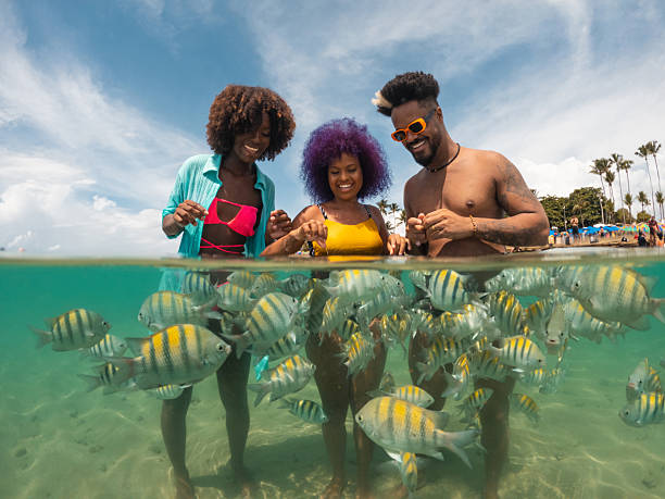 istock Tourists feeding fish on Porto de Galinhas beach 2238372036
