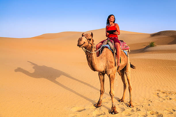 istock Young female tourist using digital tablet on camel, Rajasthan, India 2238375077