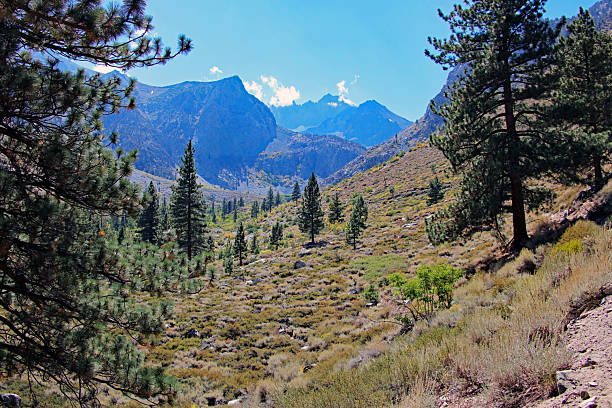 Looking up South Fork Big Pine Creek Trail toward the crest of Middle Palisade.
