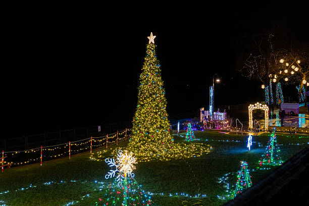 istock Christmas tree with star topper and festive light decorations glowing in a park at night. 2238378754