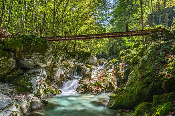 istock Scenic view of a small bridge over tranquil river flowing through lush greenery in Sunik, Slovenia 2238381967
