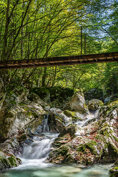 istock Scenic view of a small bridge over tranquil river flowing through lush greenery in Sunik, Slovenia 2238382197
