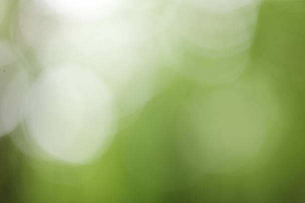 Soft green and white bokeh background creating a calming natural abstract