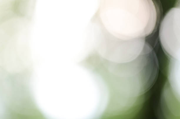 istock Blurred natural green and white bokeh background light 2238385014