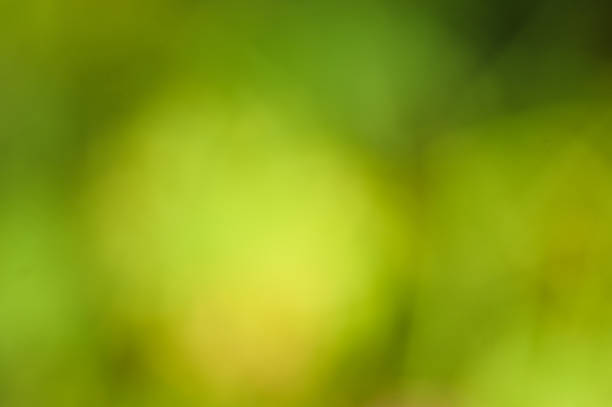 istock Green abstract background with blurred nature light 2238385077
