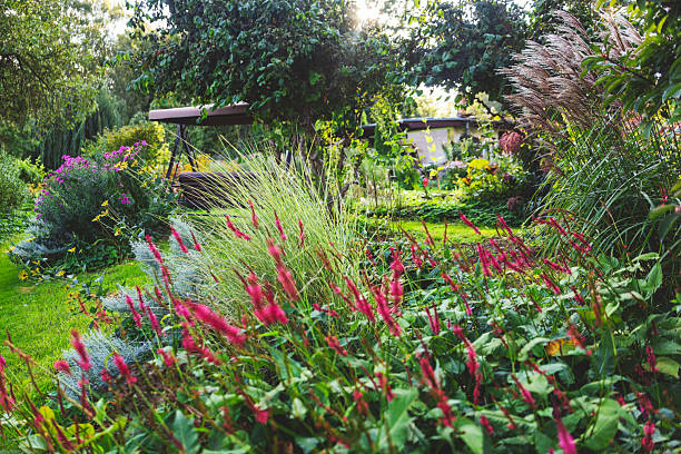 Colorful garden in summer