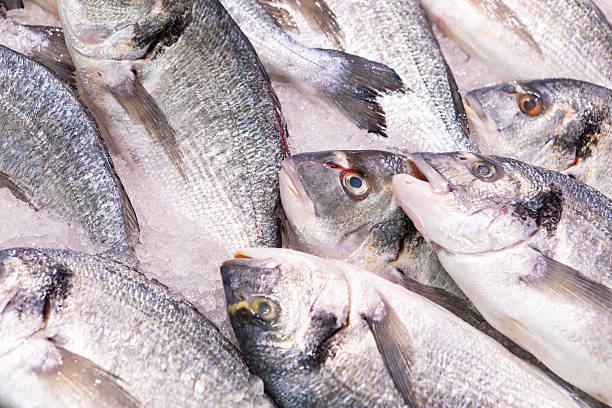 istock Sparus aurata in the fish market 2238389379