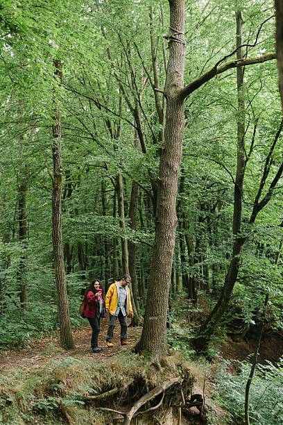 istock Father and daughter hiking a green forest path 2238390801
