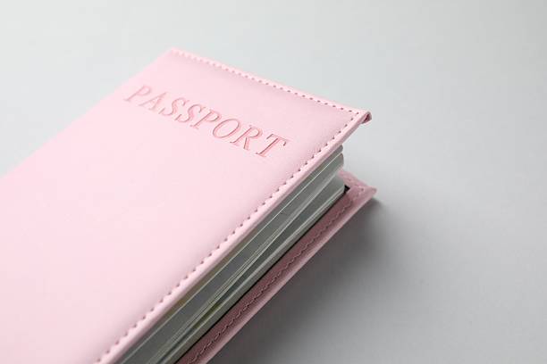 istock Passport in pink cover on light background, closeup. Space for text 2238401825