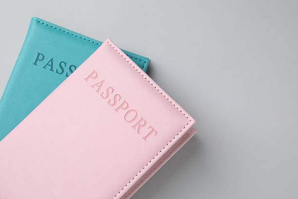 istock Passports in color covers on light background, top view. Space for text 2238402374