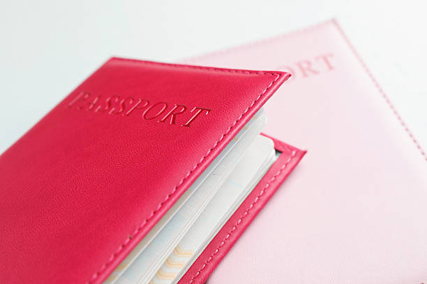 Passports in color covers on light background, closeup
