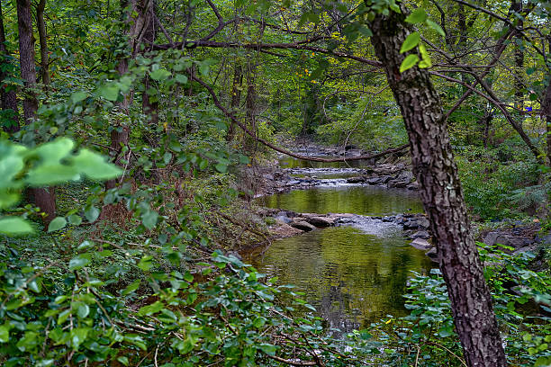 istock A small creek in a rural park 2238407911