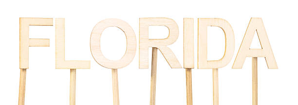 Word Florida formed with wooden letters on a white background, rustic decorative design ideal for tourism, geography, or themed school art content