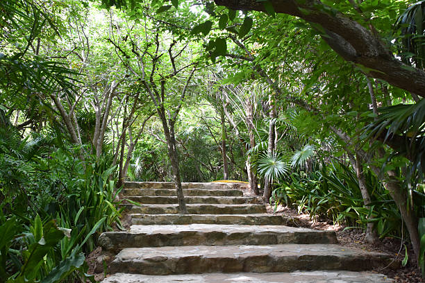 istock Stone steps inside a lush tropical forest located in Tulum Mexico 2238411124