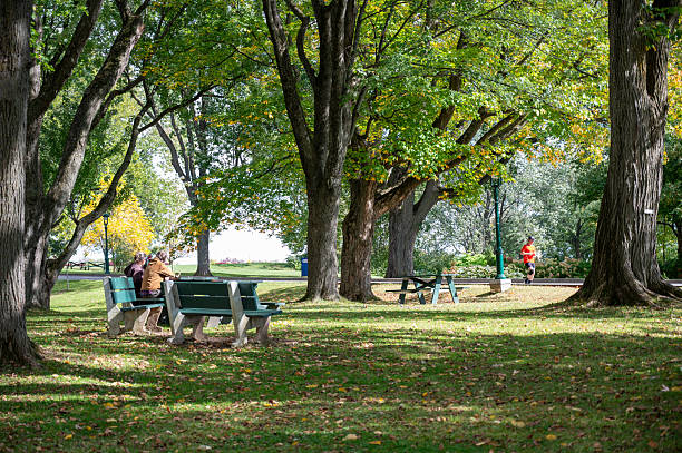 Mature couple sitting on a park bench in the Plains of Abraham in Quebec city with a jogger passing by in background during a sunny day of autunm