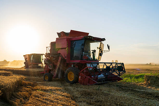 istock The combine is harvesting the wheat in the evening 2238431618