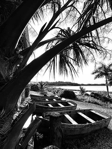 Wooden boats on the riverbank in a tropical area